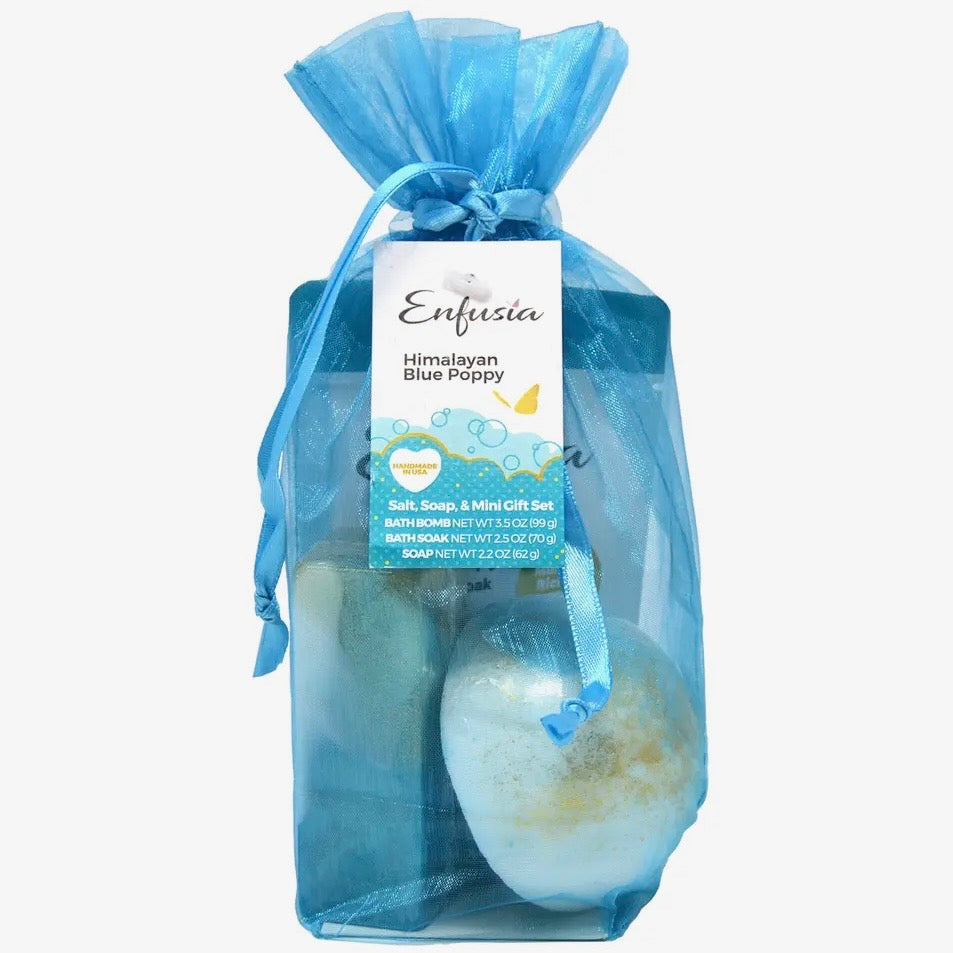 Enfusia Salt, Soap, & Bath Bomb Gift Set